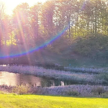 Stendalgaard